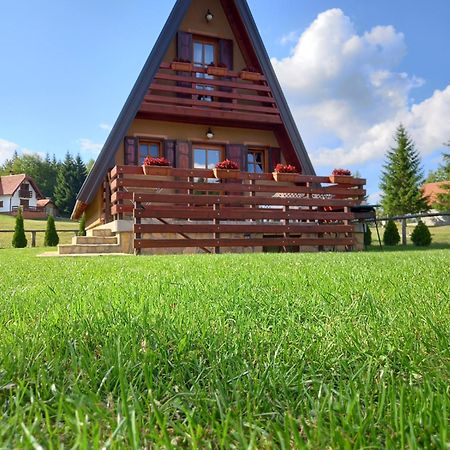 Mountain House Tadic 1 Villa Bajina Basta Exterior foto