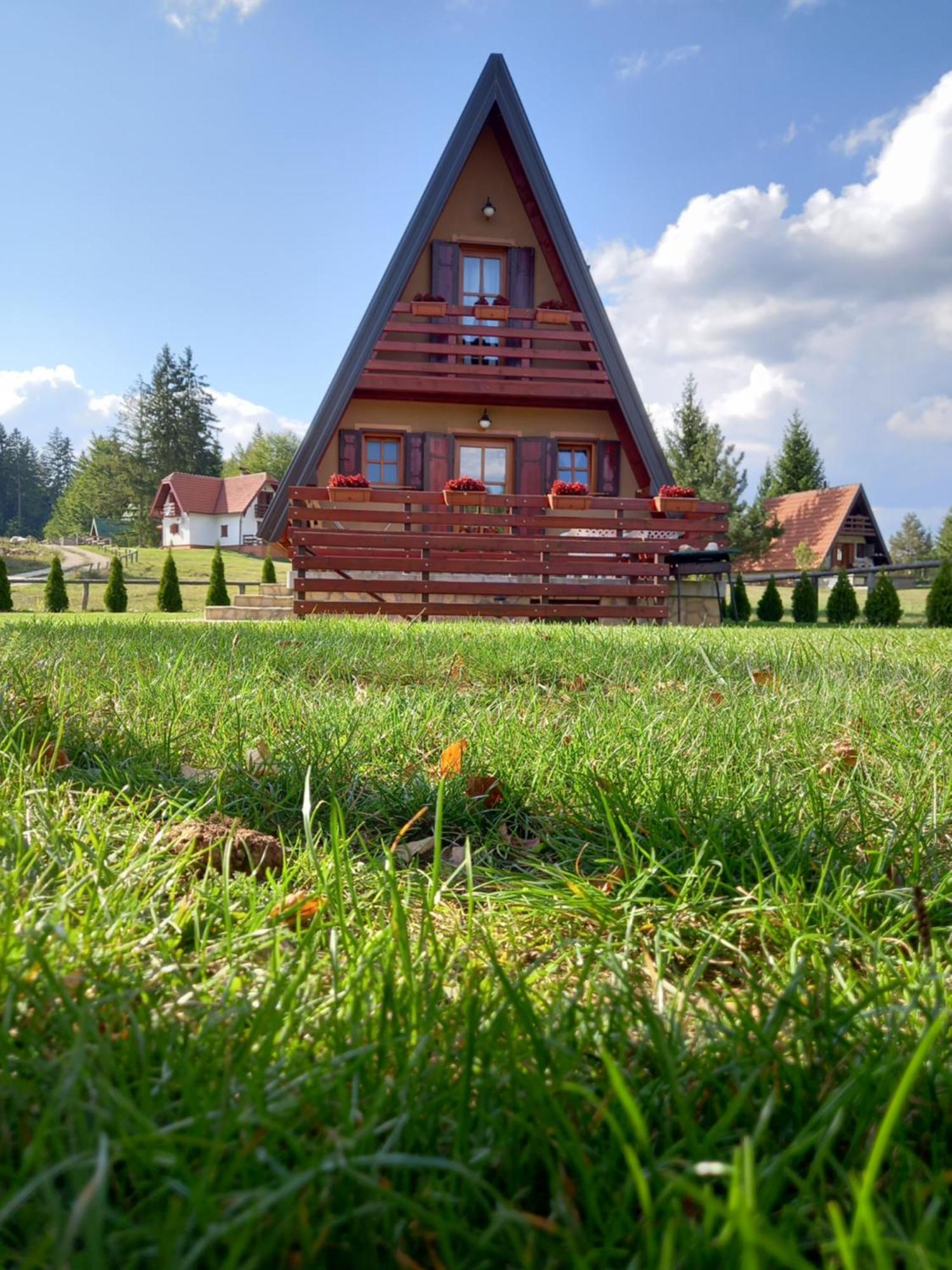 Mountain House Tadic 1 Villa Bajina Basta Exterior foto