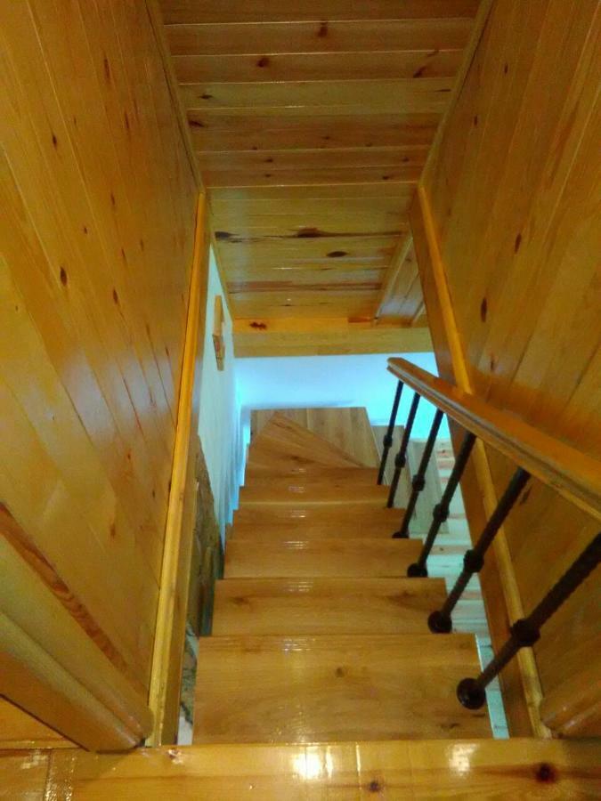 Mountain House Tadic 1 Villa Bajina Basta Exterior foto