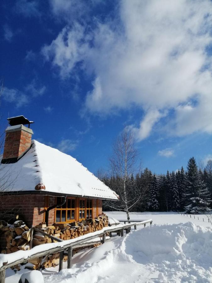 Mountain House Tadic 1 Villa Bajina Basta Exterior foto